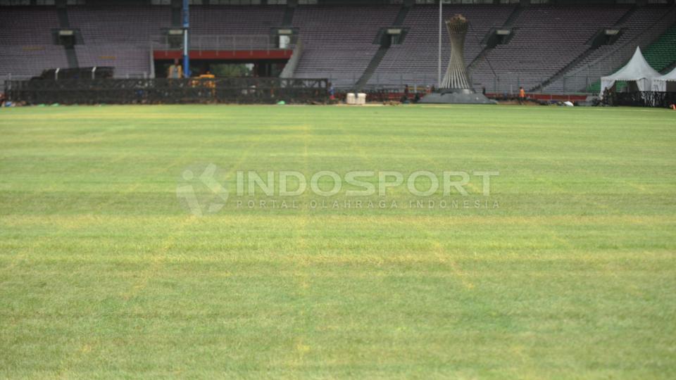 Ada beberapa rumput SUGBK yang kelihatan menguning karena hampir sepekan tak disinari matahari.